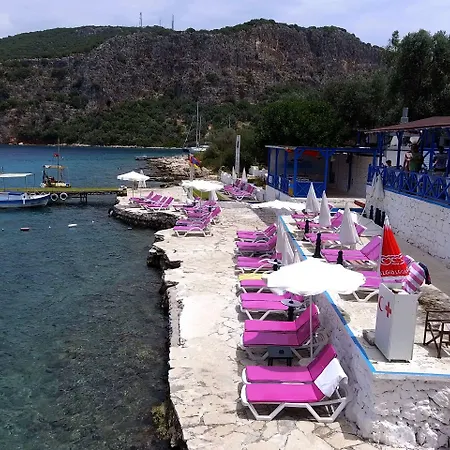 Delos Couette-café *