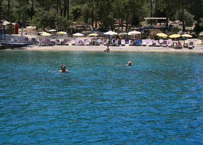 Oda ve Kahvaltı Delos