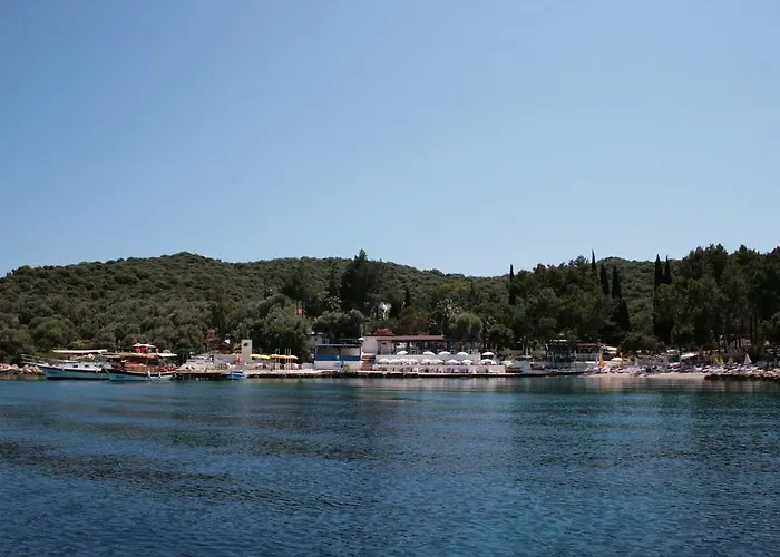 Oda ve Kahvaltı Delos *