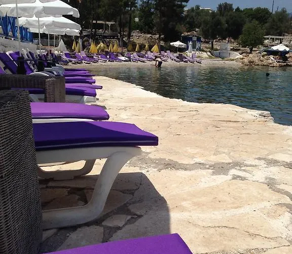 Oda ve Kahvaltı Delos *