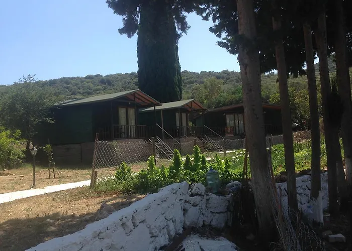 Oda ve Kahvaltı Delos *