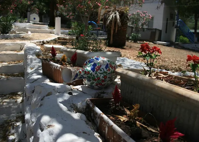 Oda ve Kahvaltı Delos *