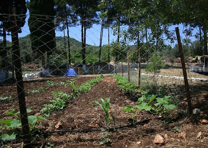 Oda ve Kahvaltı Delos Kaş