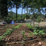 Frühstückspension Delos Kaş